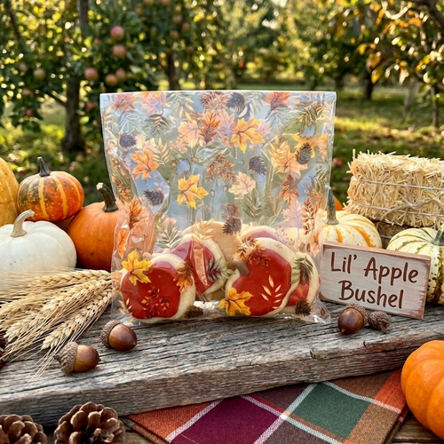 Lil' Apple Bushel (16-Pack)